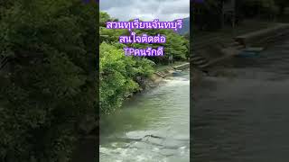 #สวนทุเรียนภูเขาไฟ #สวนทุเรียนปราจีนบุรี #รีสอร์ทเขาค้อ #รีสอร์ทเขาใหญ่ #ลานกางเต็นท์เขาค้อ