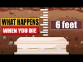 What Happens To Your Body When You Die?