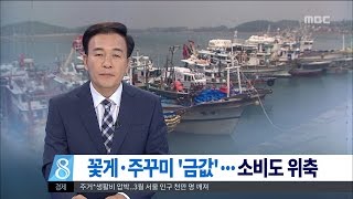 [대전MBC뉴스]서해 제철 꽃게·주꾸미 금값