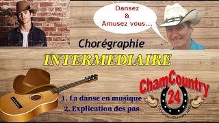 Palomino - Line dance (Dance & Teach Fr)