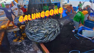 Galunggong Fishing POV