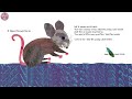 the very clumsy click beetle animated book read aloud