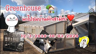 Our greenhouse made by my husband 💕 and Nirppu as assistant ☀️☀️ (kasvihuone)