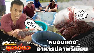 เรื่องเด็ดลุยเดี่ยว | \