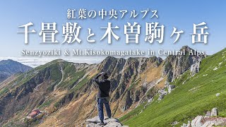 【小屋泊登山】紅葉の中央アルプス　千畳敷と木曽駒ヶ岳