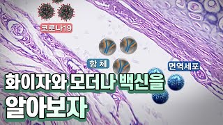 화이자와 모더나 백신에 대해 자세히 알아보자 [맑은 공기, 숨 편한 대한민국] 74회 / YTN 사이언스