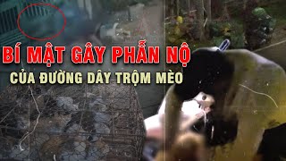 ĐIỀU TRA ĐỘC QUYỀN: Lộ diện ‘chợ Mèo’ công khai ở TP.HCM, phanh phui mạng lưới thu gom choáng váng!