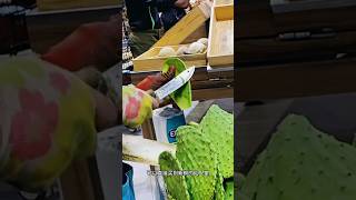 Eat cactus in Mexico is a must! 在墨西哥挑战吃仙人掌，是你必做的事情！