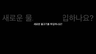 물고기 성별 구별법/새로사온물고기넣을때팁