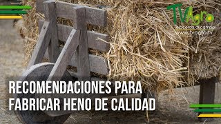 Recomendaciones  para Fabricar Heno de Calidad - TvAgro por Juan Gonzalo Angel