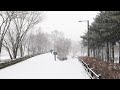 4k white snow 첫눈 2021첫눈 오는 날 4k first snow in seoul 2021 first snow day