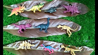 รีวิวของเล่นไดโนเสาร์ ทีเร็กซ์ สเตโก บราคิโอ ไทรเซราทอป ฟอสซิลไดโนเสาร์ Review of dinosaur toys