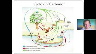 CICLOS BIO GEO QUÍMICOS