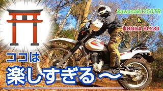 【伊豆の林道】鳥居林道 右回り 250TR＆SL230　【途中で遊ぶnowなヤング】【縞馬のOFF車日記】