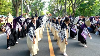 【4K】若欅-wakakeyaki-｜義を経て、一蓮托生(第41回 朝霞市民まつり 彩夏祭/サタデーナイトアワード)