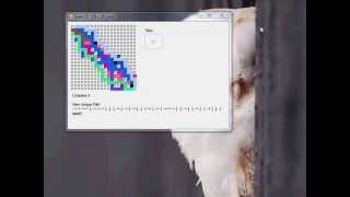 Visualizing Project Euler Problem 15 | Lattice Paths