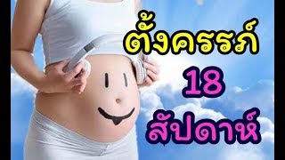 ตั้งครรภ์ 18 สัปดาห์ | พัฒนาการทารกในครรภ์ 18 สัปดาห์ | คุณแม่ตั้งครรภ์