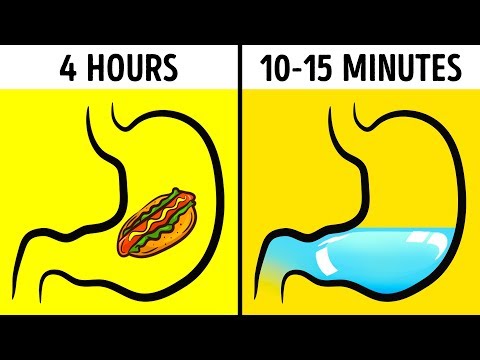 Do lions drink water after eating?
