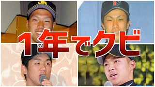 【悲報】指名翌年にクビ！ドラフト翌年にどん底につき落とされた選手たち