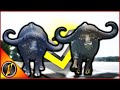 2x Diamond Cape Buffalo??? | 400 Meter Gun & Charging Bow Shots!