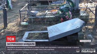 У Миколаївській області затримали вандала, який розбив надгробки на сільському цвинтарі