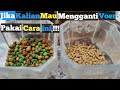 Cara mengganti voer pleci yang benar