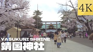 【4K】満開の桜を見ながら靖国神社を散策 | Walking around Yasukuni Shrine with cherry blossoms in full bloom