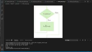 While() loops: counting iterations - Ioana Fleming