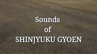 【BGM】Sounds of Shinjuku Gyoen