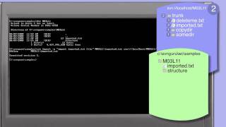 300_01-Subversion: svn import-;adding files directly