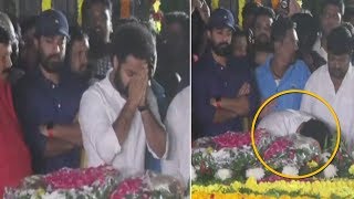 Jr NTR Pays Tribute to N T Rama Rao At NTR Ghat | Kalyan Ram | Latest Video | Daily Culture