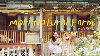 Mori Natural Farm เชียงใหม่ ฟิลญี่ปุ่นมากกก ลองดู