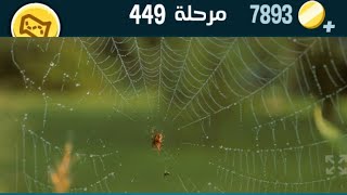 كلمات كراش 449 كلمات كراش ٤٤٩