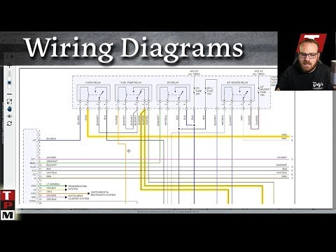 Does Alldata have wiring diagrams?