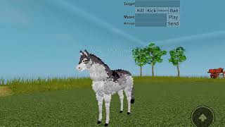 Roblox Horse World Creating My Oc S Character Art Challenge - roblox horse world all secret places