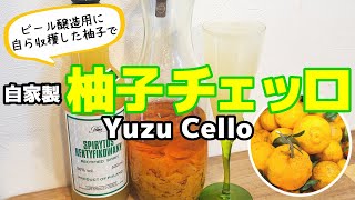 収穫した柚子で自家製柚子チェッロを作ってみた／YUZUCELLO／ベルジャンホワイト仕込み用／鳥取県岩美町で田舎暮らし