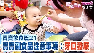 寶寶飲食篇 ▶ 21【牙口發展】寶寶0~1歲副食品注意事項－曾相為 營養師｜媽媽寶典S2｜嬰幼兒、活動、醫療｜新手爸媽育兒好幫手｜電視節目【親子台｜官方HD｜精華版】momokids