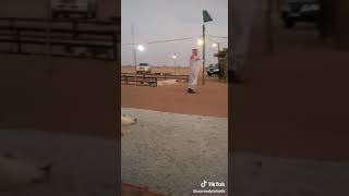 Fajar Azan \u0026 Reaction of Dog | جب مؤذن صبح کی اذان دے رہا اور کتے نے کیا کیا