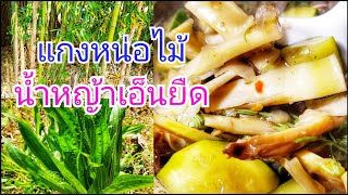 เก็บหน่อไม้ แกงหน่อไม้ใส่น้ำหญ้าเอ็ดยืด🌱 แซ่บ!😋บ่องึดใบย่านาง Bamboo Shoots with Plantain recipe