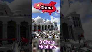 10 Non Muslim Countries With Largest Muslim Population #shorts #viral #youtubeshorts