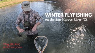 Winter Flyfishing on the San Marcos River (Smallest Guadalupe Bass Ever?)