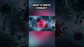 What is #white_fungus? │എന്താണ് വൈറ്റ് ഫങ്കസ്? │#Malayalam #shorts