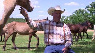 Chahta Stories: Choctaw Pony