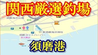 【釣り場情報】 関西の海釣り 須磨港   メバル, アイナメ, カレイ, クロダイ, アジ,アオリイカがおすすめ♪