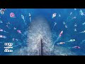 The Meg | Pippin Come Back | ClipZone: High Octane Hits