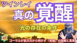 Vol.17 【ツインレイ 真の《覚醒》　光の存在の条件】ツインレイの相手の愛をみるみる受容！　誰も語れなかった、コーラルだけが伝える《覚醒》の誤解と真実《コーラルが伝える宇宙・高次元の真理》