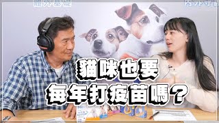 '23.03.20【全能狗S 寵物當家】蔡哲獸醫師談「貓咪也要每年打疫苗嗎？」