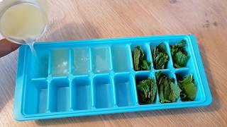 How to preserve fresh mint leaves \u0026 lemon juice | winter diet |কিভাবে লেবু,পুদিনা পাতা সংরক্ষণ করবেন