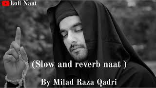 Slow and reverb naat || Ek Main Hi Nahi Un Par Milad Raza Qadri ||(slowed Reverb Naat)Lofi Naat 2023