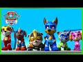Mighty Pups Stop A Rocket Ship Lighthouse And More! - Paw Patrol - Cartoons For Kids Compilation